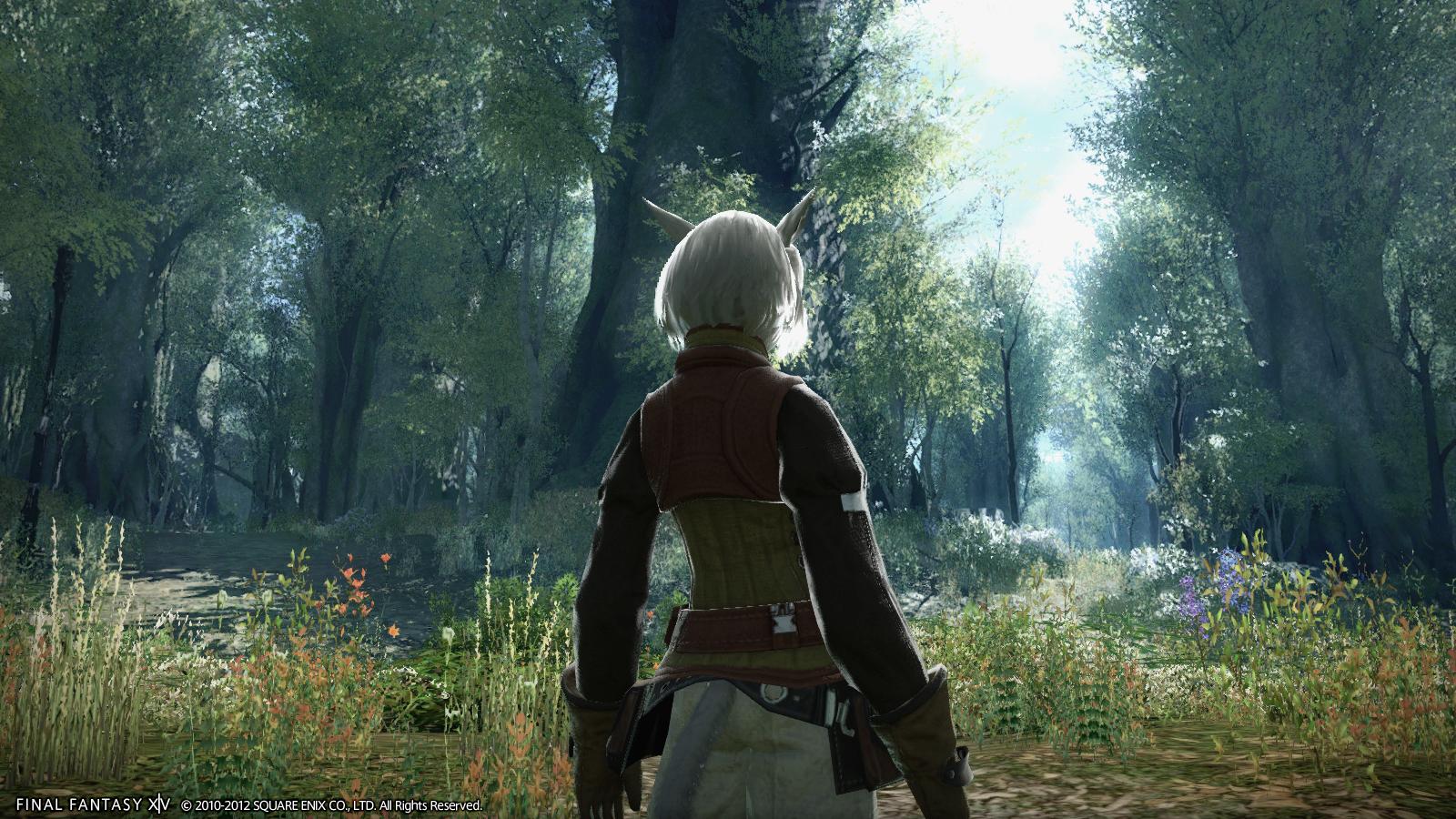 Final Fantasy XIV: A Realm Reborn (Edición Coleccionista) - Imagen 34